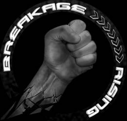 logo Breakage Rising